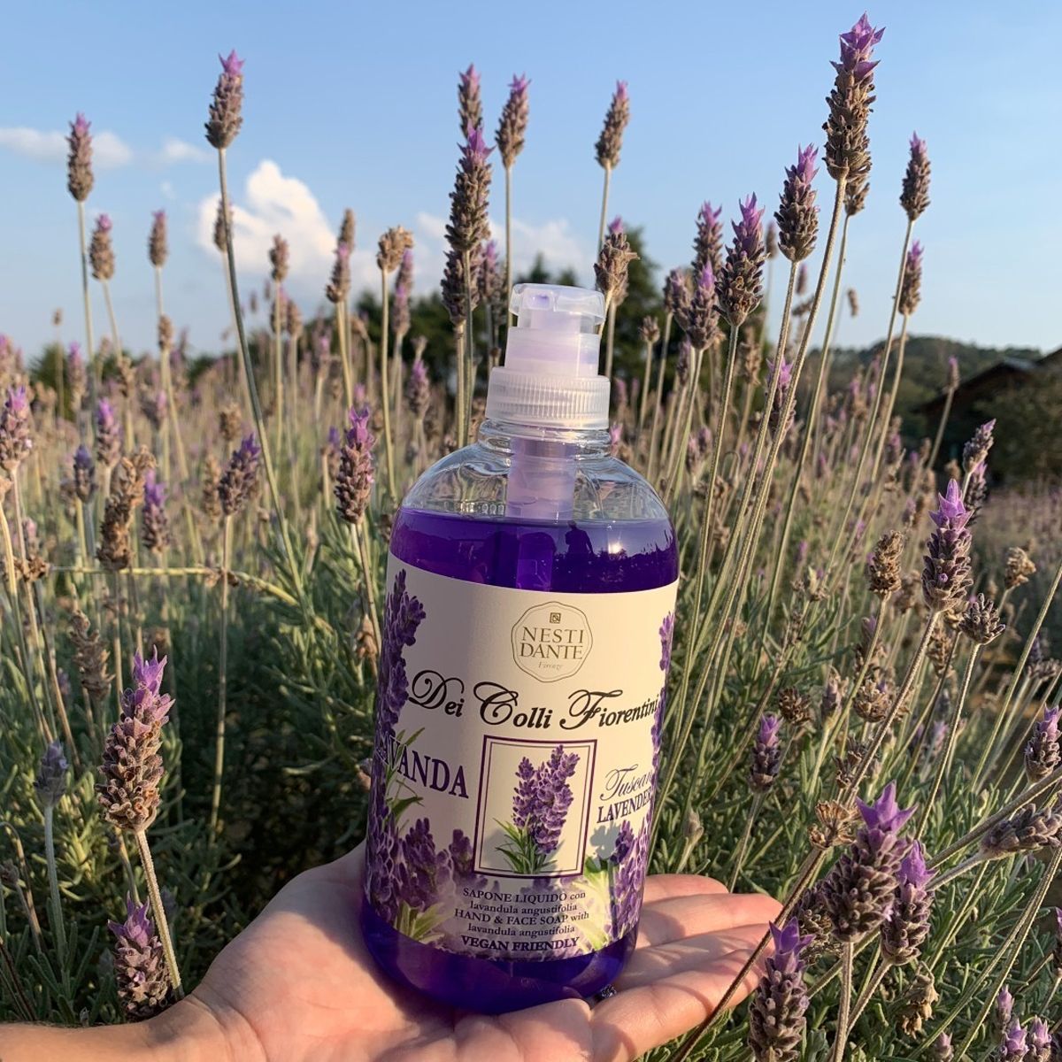 Nesti dante fiorentini lavendelzeeppomp 500ml
