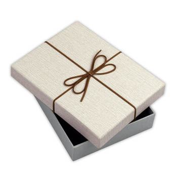 Zep opbergdoos bx3514a doos piacenza a 15,3x21,4x4