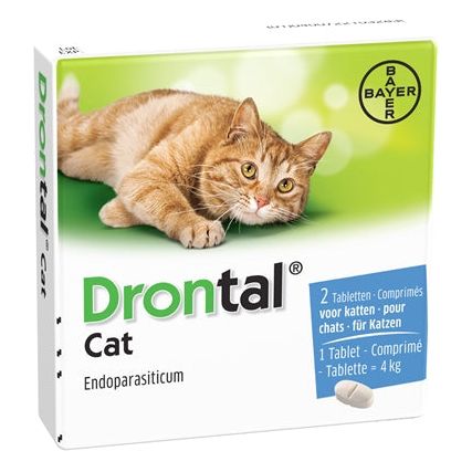 Bayer drontal ontworming kat