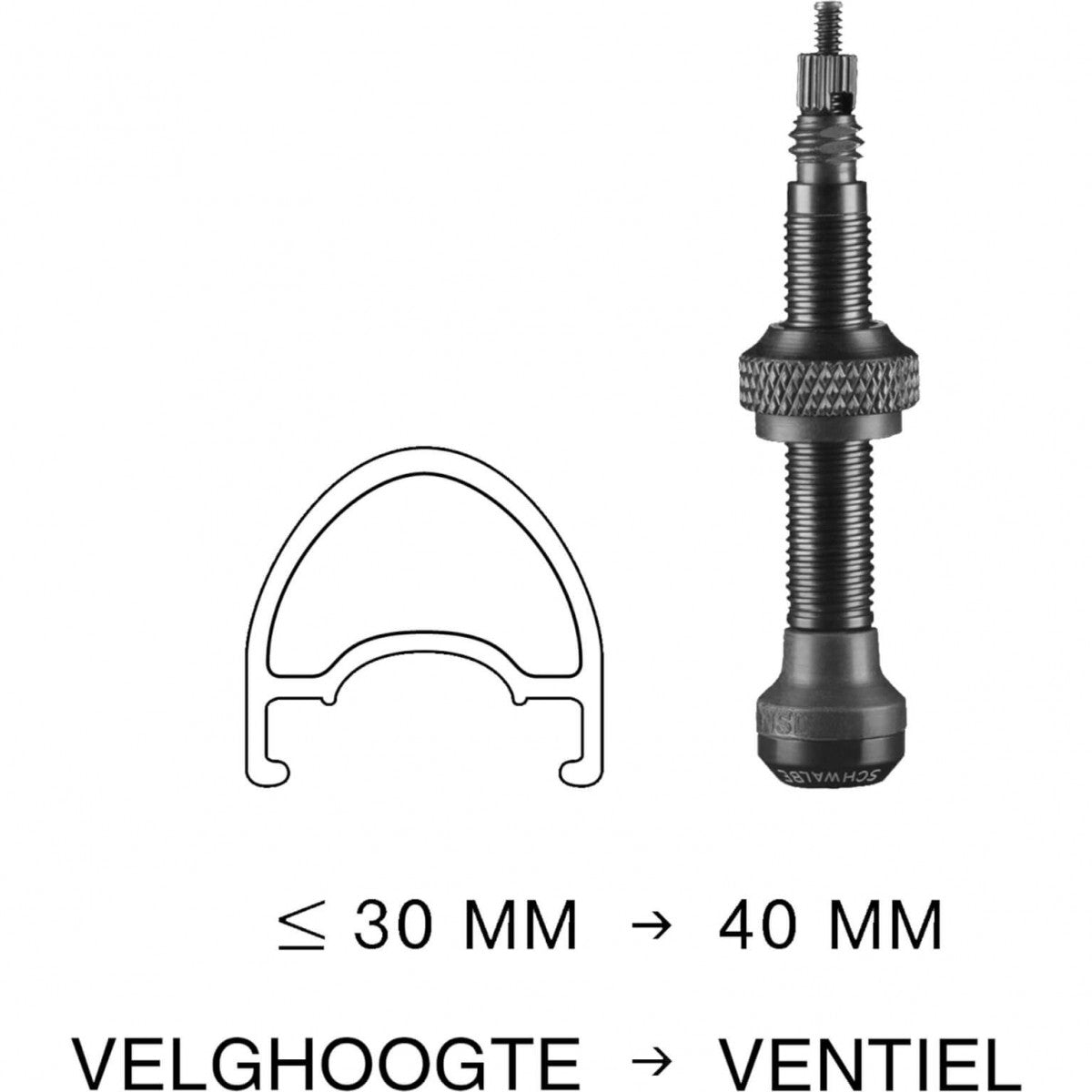 Schwalbe Tubeless ventiel 40mm (2 stuks)