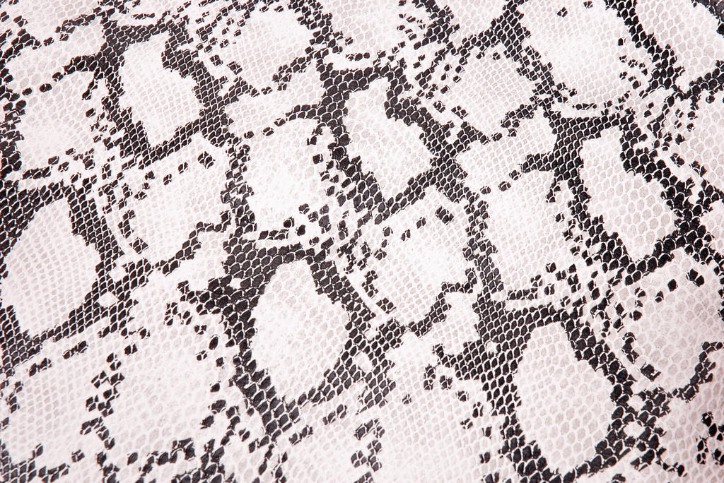 Extreme buddydekcobra | peugeot speedfight 1 2