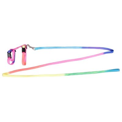 Karlie konijnentuig met lijn regenboog