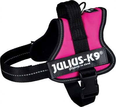 Julius k9 power-harnas tuig voor labels fuchsia