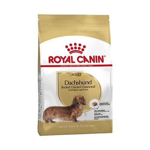 Royal canin dachshund teckel adult