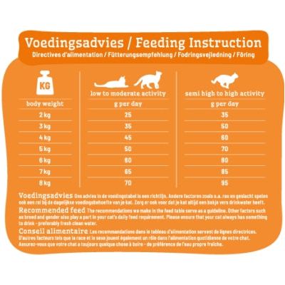 Smolke kat volwassen kip rijst