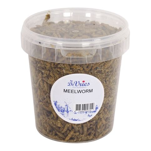 De vriesmeelworm zwarte soldatenvlieg