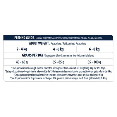 Advance kat volwassen kip met rijst