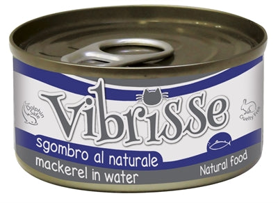Vibrisse kattenmakreel