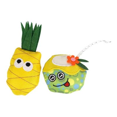 Fofos zomer ananas met drankje