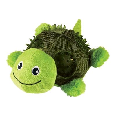 Kong schelpen schildpad groot