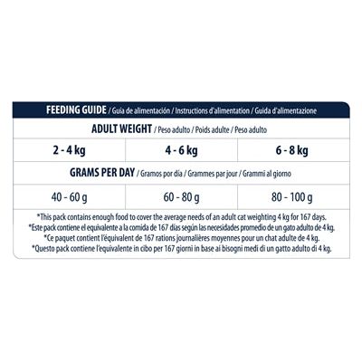 Advance kat volwassen gevoelige zalm