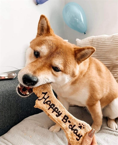 Hov-hov happy birthday bone
