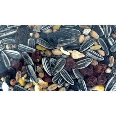 Utopia strooivoer met bessen