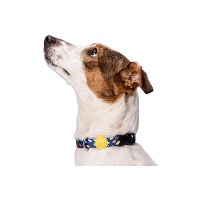 Morso halsband hond gerecycled color invaders paars