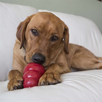 Kong snacks pindakaas