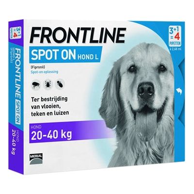 Frontline hond spot on large