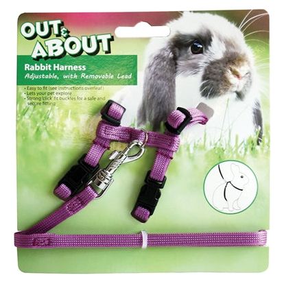 Happy pet konijnentuig met looplijn paars