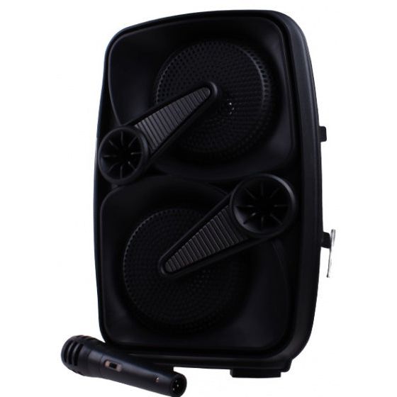 speaker met microfoon zwart 5-delig