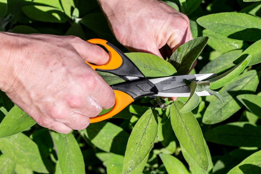 Kruidenschaar 20 cm RVS rubber Zwart oranje