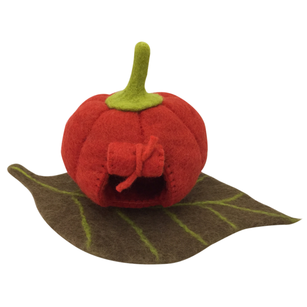 Papoose Toys Papoose Toys Feeënpompoenhuis en mat