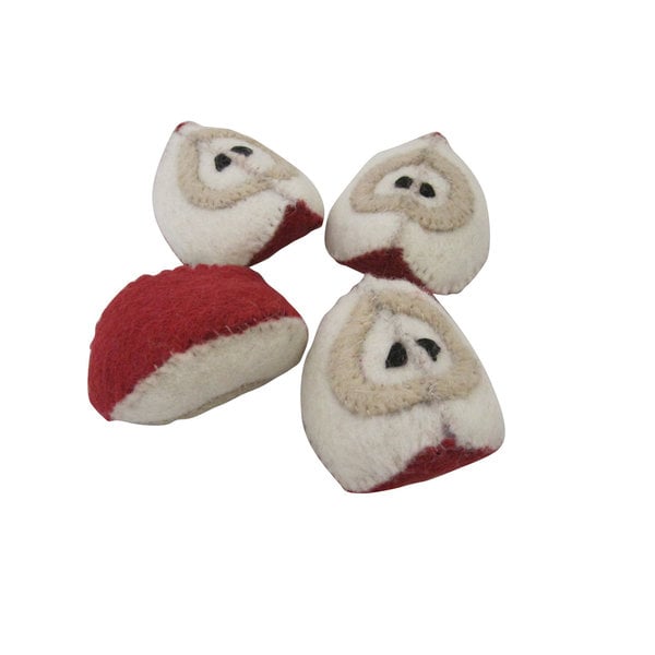 Papoose Toys Papoose Toys Fruit Appel 6st