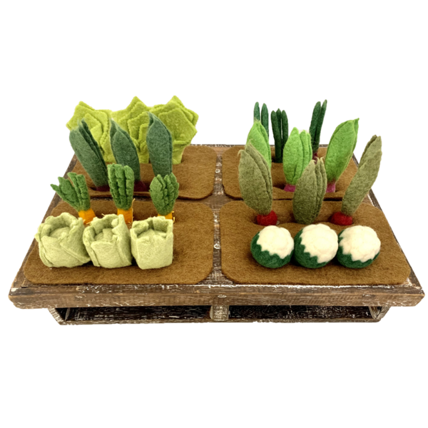 Papoose Toys Papoose Toys Kweek-een-Tuin 24-delig