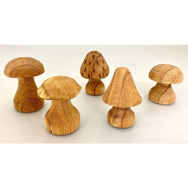 Papoose Toys Papoose Toys Paddenstoelen Handgesneden 5 stuks