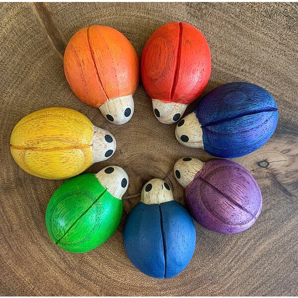 Papoose Toys Papoose Toys Regenboog Lieveheersbeestjes 7-delig
