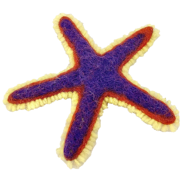 Papoose Toys Papoose Toys Sea Star Royal 3-delig