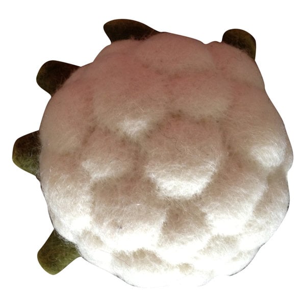 Papoose Toys Papoose Toys Groente Bloemkool